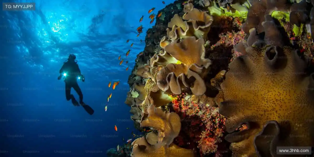 🛹 极限运动,超越想象!🌟 挑战地心引力,记录你的高光时刻!